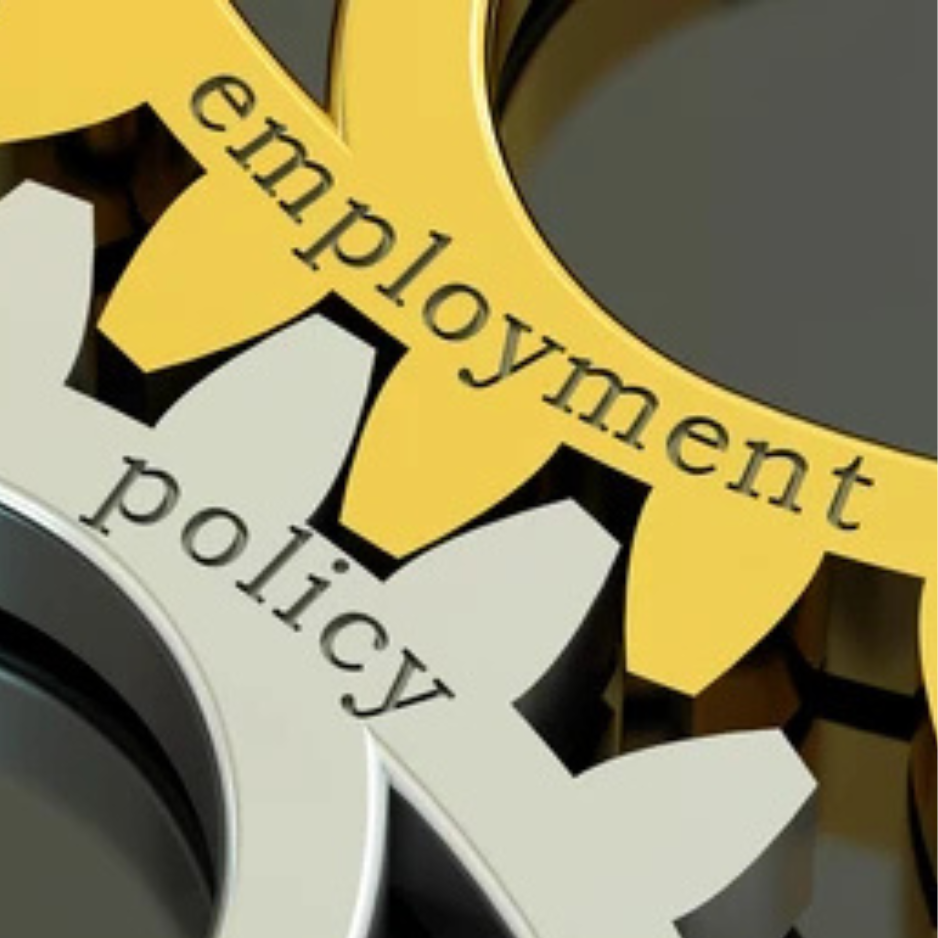 Untitled design (17)